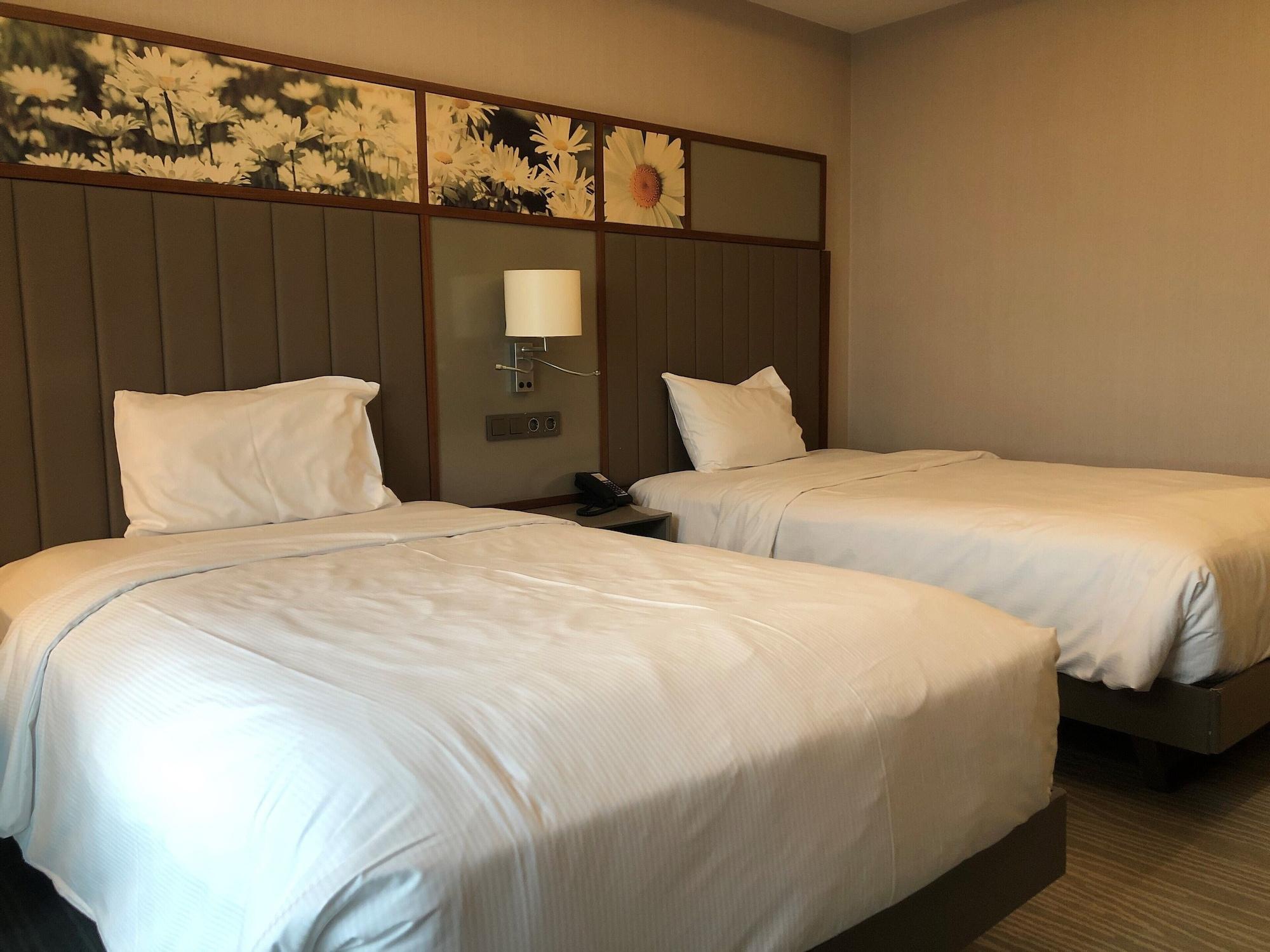 Hilton Garden Atatuerk Airport 4* Стамбул