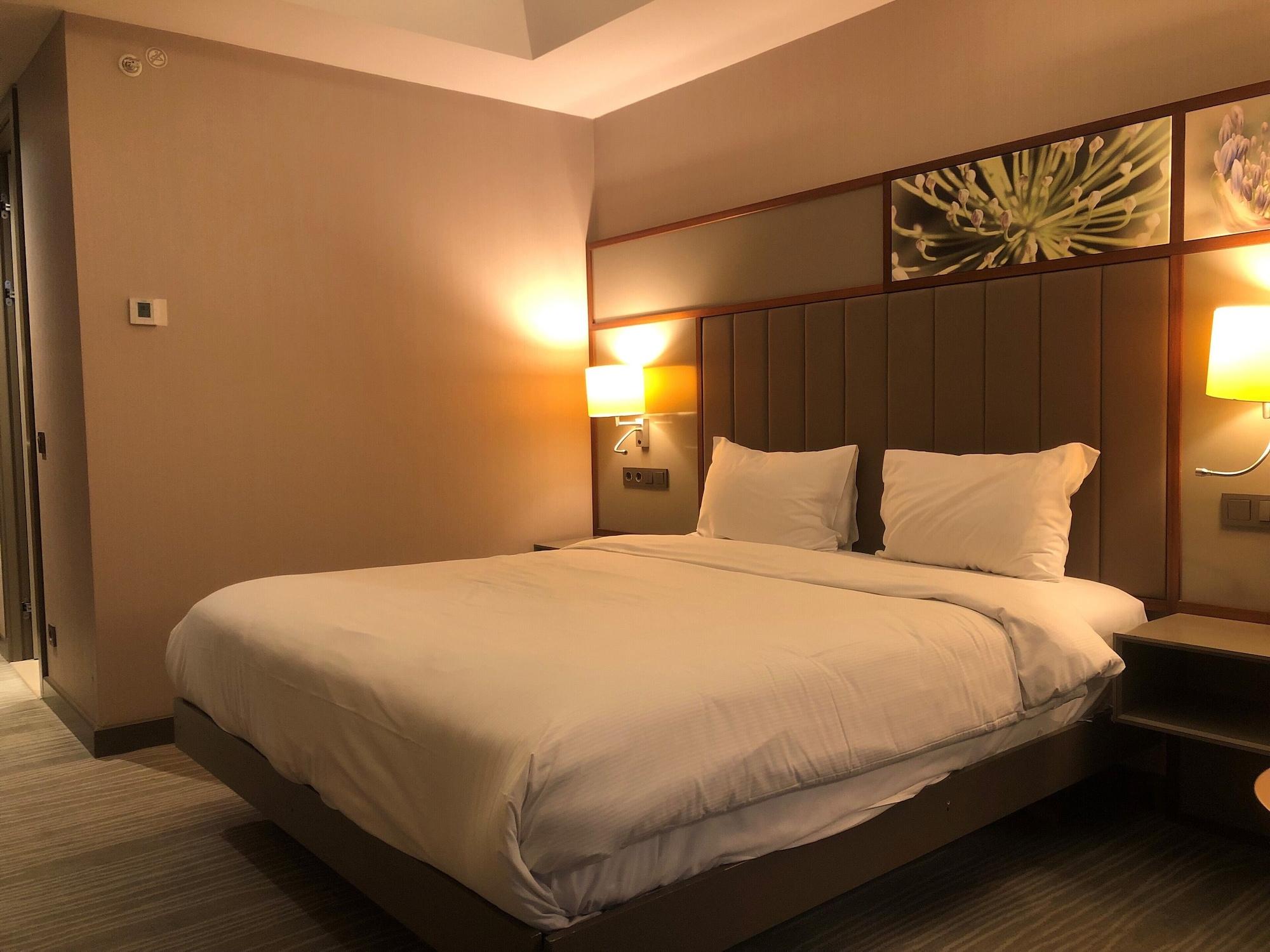 Hilton Garden Atatuerk Airport Отель Стамбул